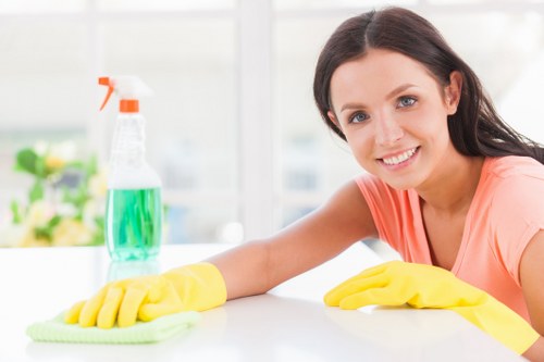 Professional sofa cleaning service for a Kentishtown living room