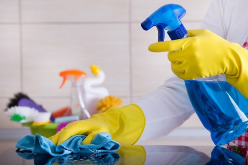 Kitchen and bathroom maintenance as part of recurring cleaning