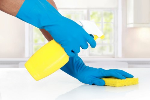 Residential window cleaning for a terrace home in Kentishtown