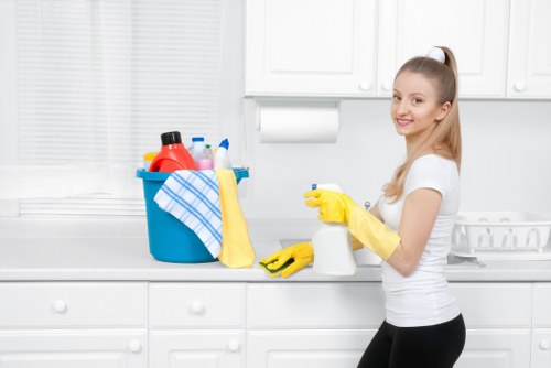 Technician cleaning a mattress with specialist equipment