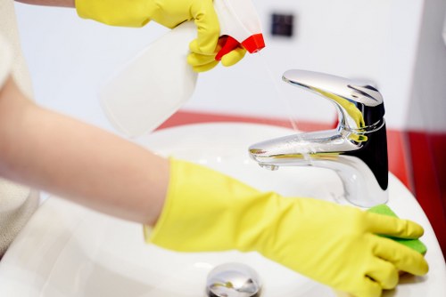 Professional carpet cleaning in a Kentishtown home