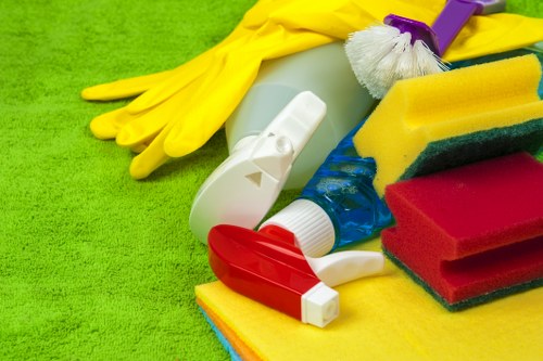 Bathroom cleaning as part of domestic cleaning in Kentishtown
