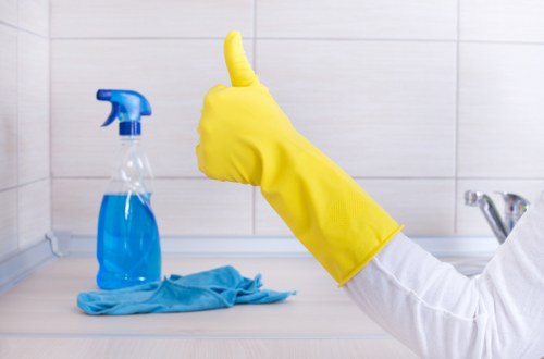 Inspection of stained carpet areas before pet odour treatment