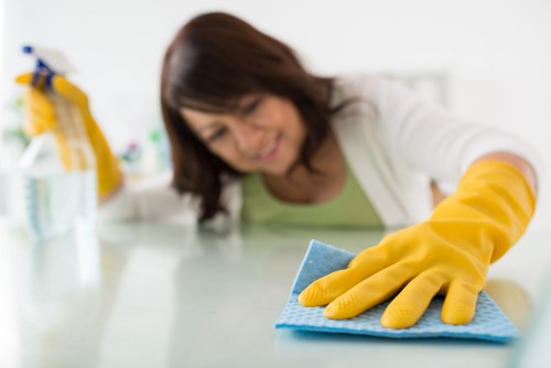 Upholstery cleaning for dining chairs in a Kentishtown property