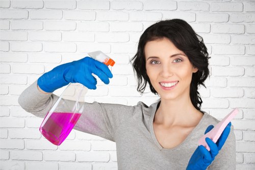 Preparation checklist and cleaning tools for a Kentishtown house clean