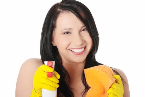 Kentishtown carpet cleaners highlighting long-term carpet maintenance and care