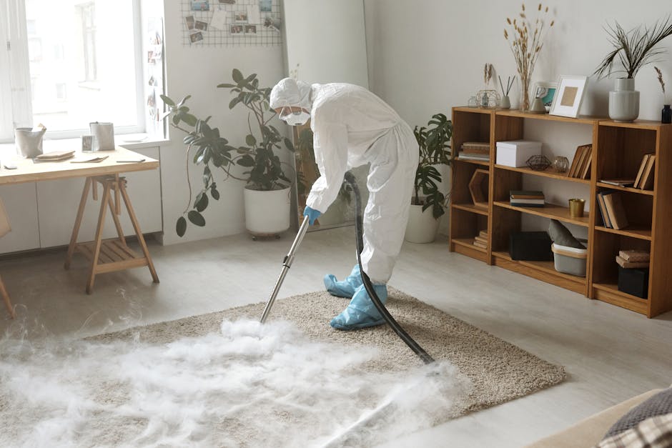 A professional cleaning technician dressed in full protective gear, including a white coverall suit, face mask, and blue gloves, is performing deep carpet cleaning in a bright, modern living room. The technician is using a steam or extraction machine connected to a black hose to thoroughly clean a plush, beige area rug positioned on light-colored wooden flooring. The room features natural light streaming through large windows, with a stylish wooden shelving unit on the right side holding books, decorative objects, and framed photos. Potted green plants and minimalistic decor enhance the clean and contemporary aesthetic of the space. The scene emphasizes surface cleaning and maintenance, exemplifying the hygiene practices of Carpet Cleaners Kentish Town, a reputable company specializing in domestic cleaning services.