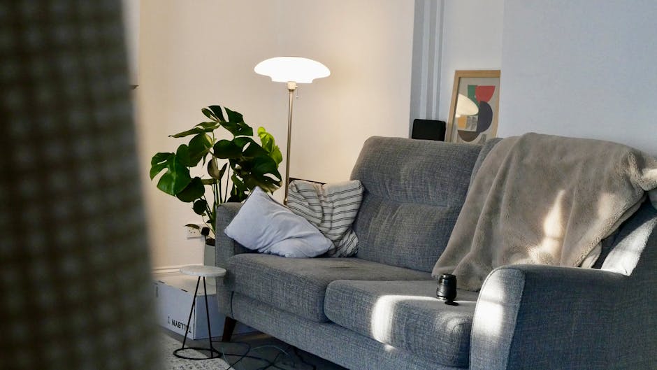 A cozy living room featuring a grey fabric sofa with a light-colored blanket draped over one armrest and assorted cushions, including a white and a striped pillow, positioned against a white wall. To the left of the sofa, a tall white floor lamp with a rounded shade provides warm lighting. Behind the sofa, a large green potted plant adds a touch of nature to the space. On the wall, there is a framed abstract art piece. The room appears clean and tidy, highlighting a well-maintained environment suitable for domestic cleaning and surface sanitisation, as promoted by Carpet Cleaners Kentish Town. The overall ambiance is bright and inviting, with natural light coming in from an unseen window, illuminating the furniture and decor in a soft and neutral tone.
